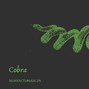 MORENITOMARCUS - COBRA | LEASE ONE GET ONE FREE