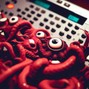 DigiDuddy - Squid