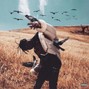 THATSDENZELX - SHORT DISTANCE