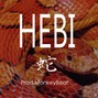 MonkeyT.Beat - Trap type beat - Hebi