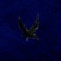 DopeGreed0 Beats - Sick Luke x Paky x Shiva type beat - "CROW" - 110 BPM - D Minor