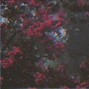 Noise Collapse - AMBULANCE