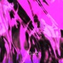 Noise Collapse - PREDATOR