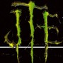 J.T.E  - Young God - E1 : Young God