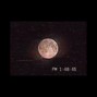 wesleybeats - DOUBLE CUP - wesleybeats