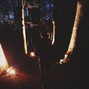 Lunacy - windflower
