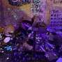KushforLunch - Rage Room