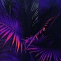 Solly - Stand There 