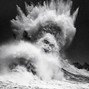 nara - POSEIDON