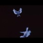 loose tha kid - END IT ALL
