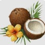 Fre$co - Coconut Oil