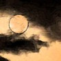 Anish Sundaram - Dark Nights
