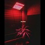 SupaSkarr (CashApp) $SupaSkarr94 - dark wave