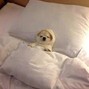 finnster - day off /dont wake me up/