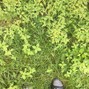 Gidion Murrell - Are You Here