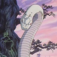 Coupri