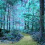 jerry chromecast - ｆｏｒｅｓｔ   ｓｈｒｉｎｅ  (132bpm)
