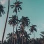 Fuegodidit - Lil Tecca Dance Hall Type Beat || Tropical ||