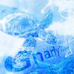 Gnarly Waves