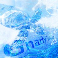 Gnarly Waves