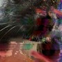 PinkBlanco - MALFUNCTION