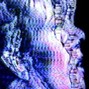 twon - Neon Oasis (Buy 1 Get 1 Free) 