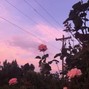 *Baby Beats* - Glide