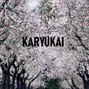 Empty Inside beats - KARYUKAI