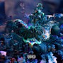 RESHY - StopBreathing2