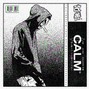 KaizenBeats - Calm
