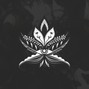 nightshade - Bloom
