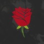 nightshade - Roses