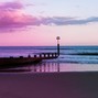 F. Cohen - DUSK.
