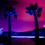 Guavo - Kodak