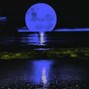 Thorn Beats - AZURE