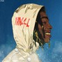 LOBO! - ynw melly type beat - Shine