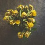 Nocto - Wither | Chill Sad Beat
