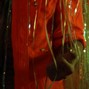 Master Door - Self Control