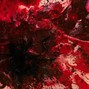 Ty Carrier - apocalypse