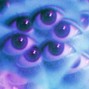 nayboi - spyroSpell