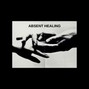 Majid Beats - ABSENT HEALING