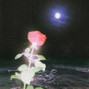 prod. 230timakro - alone