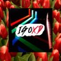 IGOXD - 99 Attempts