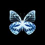 IGOXD - Dead Butterfly