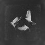BeatGoon - Classy