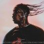 Wendigo - UNSAFE PLACE | BUY 1 GET 4 FREE