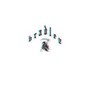Animosity - GREY