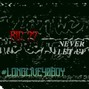 20Two - LL40BOY