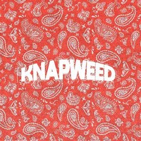 KNAPWEED