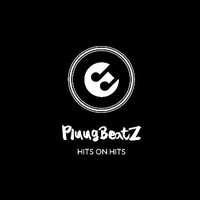 Pluugbeatz 